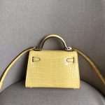 New-crocodile-pattern-mini-handbag-high-quality-fashion-lady-messenger-bag-1